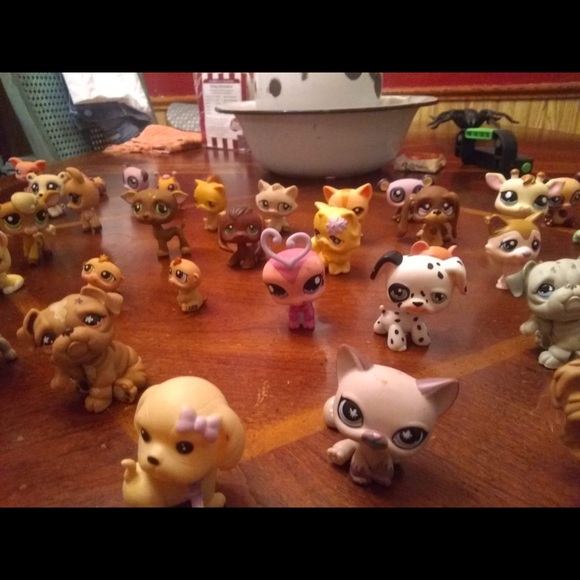 Vintage my little pet shop - Picture 2 of 8